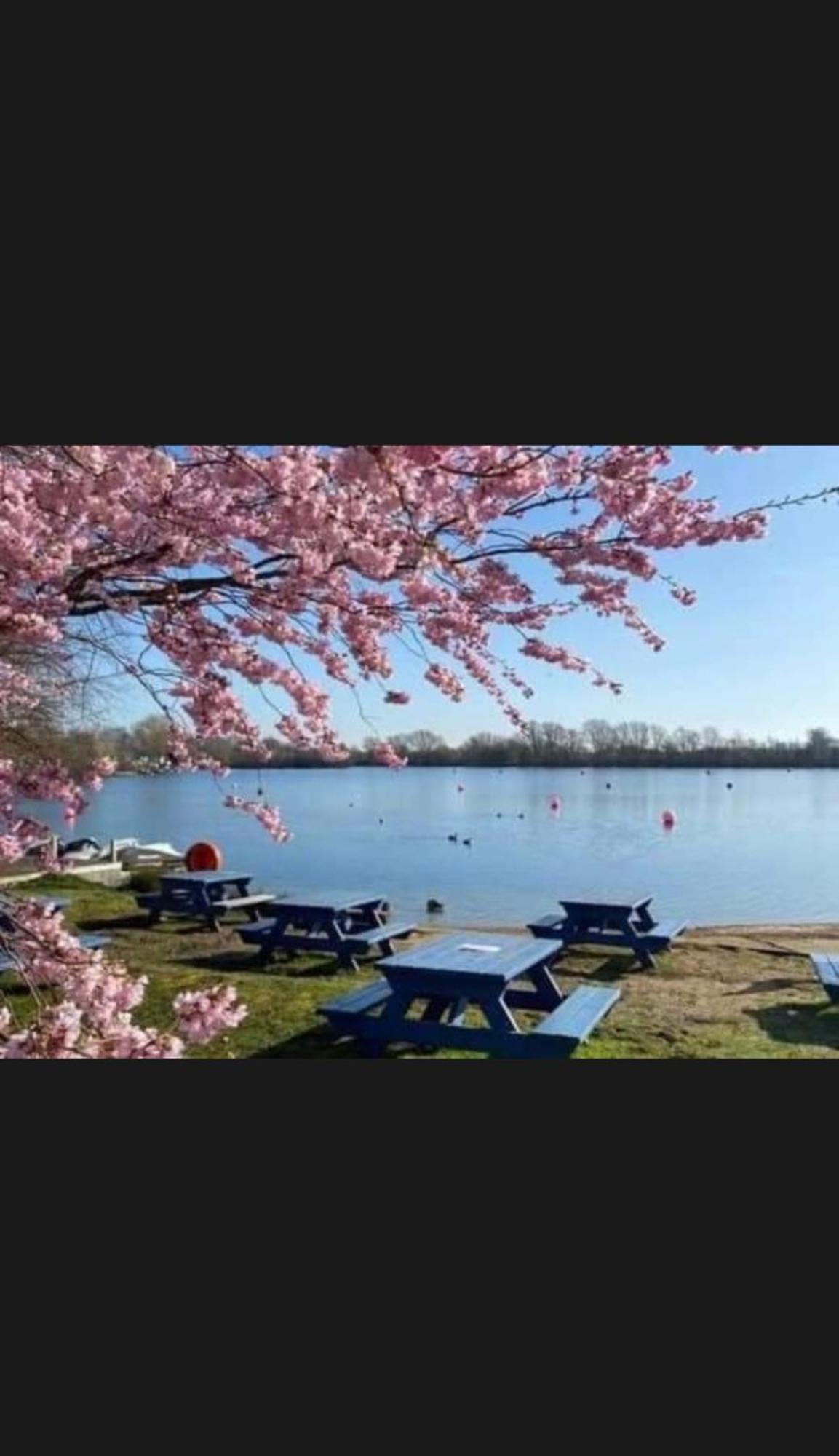 Swan View Retreats # Hottub # Egg Chair # Bbq & Bikes Included 8 Berth タターズホール エクステリア 写真